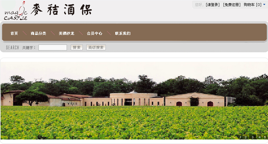 ���վƱ��̳ǾW(w��ng)վ